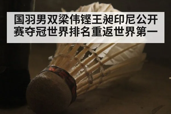 国羽男双梁伟铿王昶印尼公开赛夺冠世界排名重返世界第一