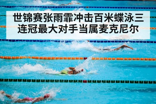 swimming pool competition