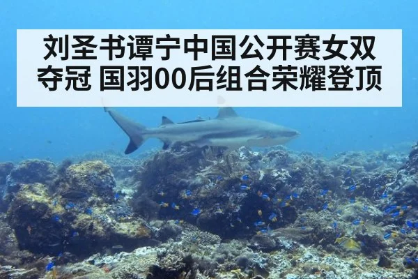 刘圣书谭宁中国公开赛女双夺冠 国羽00后组合荣耀登顶